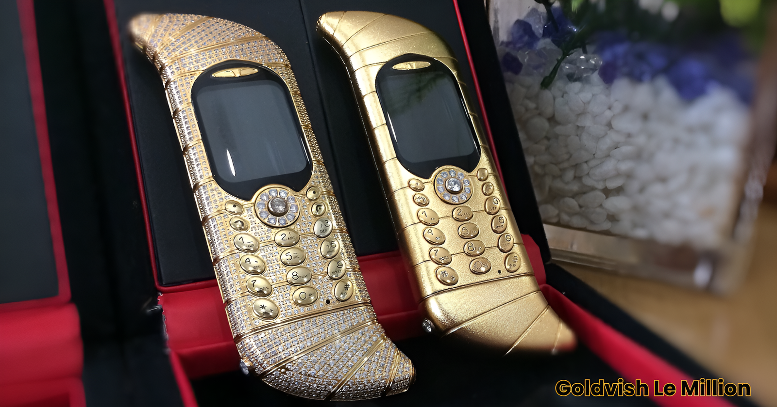 Goldvish Le Million