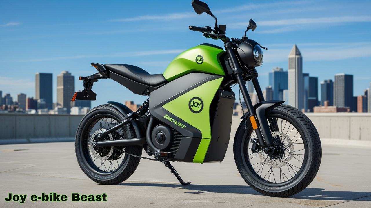 Joy e-bike Beast